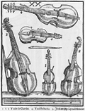 viols
